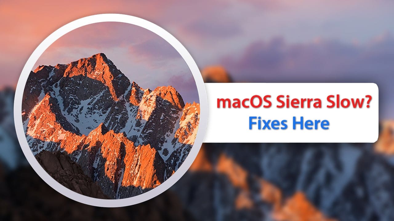 mac os high sierra virtual machine for windows